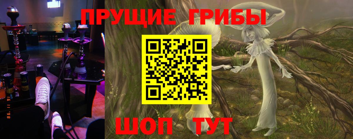 Псилоцибиновые грибы Cubensis  Псилоцибиновые грибы ЛСД  Асино  Вход с VPN 